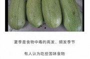 吃瓜网官网免费观看 吃瓜网官网,免费观看，畅享娱乐盛宴