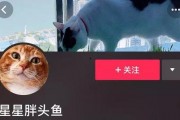 配音猫网页版 